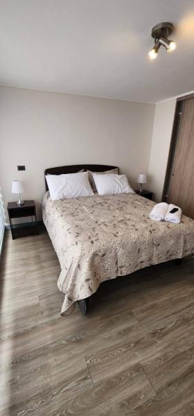 Acogedor Loft Centro De Santiago